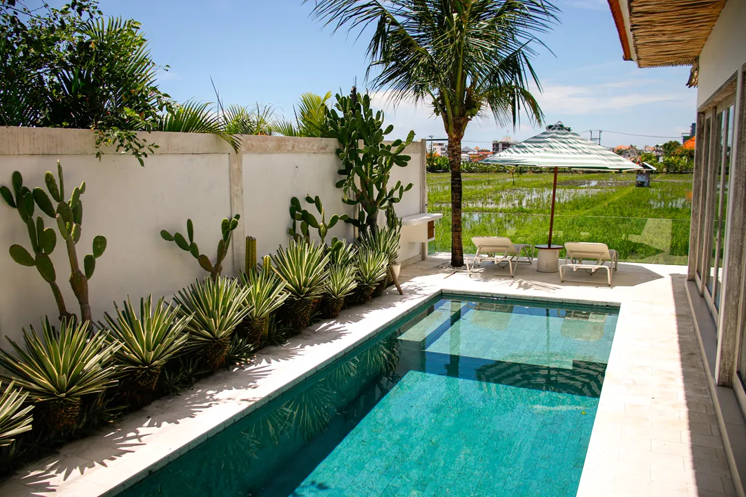Villa Padi Sunset Berawa, One-Bedroom Villa with Ricefields View
